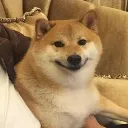 dogesmile