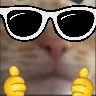 cat_nice_glasses