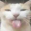 i_can_get_rather_silly i_can_get_rather_silly