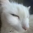 stinky stinky