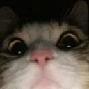 hiiiiiix3 hiiiiiix3