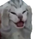 nuuuu