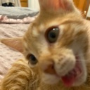 TATERTOT Discord emoji