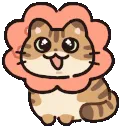 SKflower