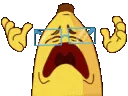 hoojDust
