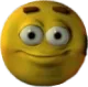 mfw