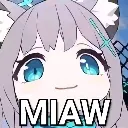 Miaw Miaw