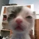 emoji_24