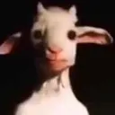 bruh bruh