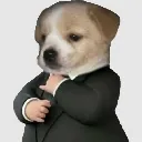 elegante