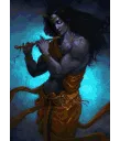 krishna1
