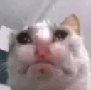 sad_dumbfuck