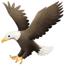 EAGLE_AMERICA1