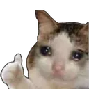 C_Cat_Cry_Thumbsup C_Cat_Cry_Thumbsup