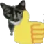 gatolike56