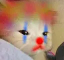 clowncat