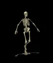 ll_skeleton