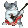 catguitar catguitar