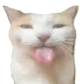 bleh