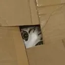 peekaboo