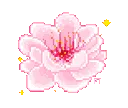 flower_aesthetic