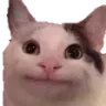 smakFine