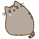 Sad Pusheen Discord Emoji