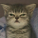 catangry Discord emoji