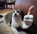 2222