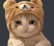 Cryingcat cryingcat Discord Emoji