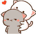 Mochi_attention