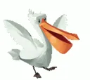 pelo_2