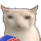 veryCat