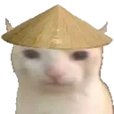 catEatCN