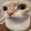 uuh