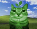 earth earth