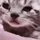 SadCat SadCat