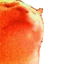HYPERCATJAM