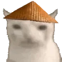 cnCateEat