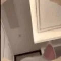 Hai