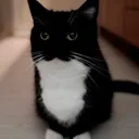 __