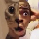 Shockned