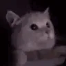 flashbang