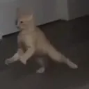 tls_fightme