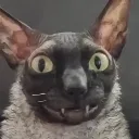 goblinmode