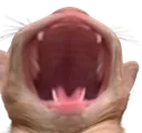 OMEGALUL