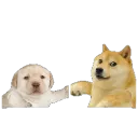 friend
