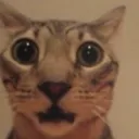 shocked