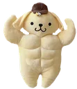 pompom_muscular