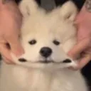 emoji_38